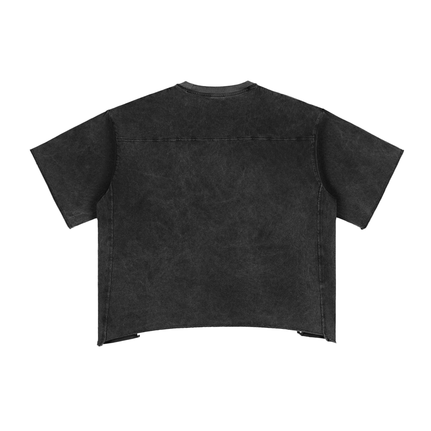 Blanks - Raw Edge Snow Washed Boxy T-Shirt
