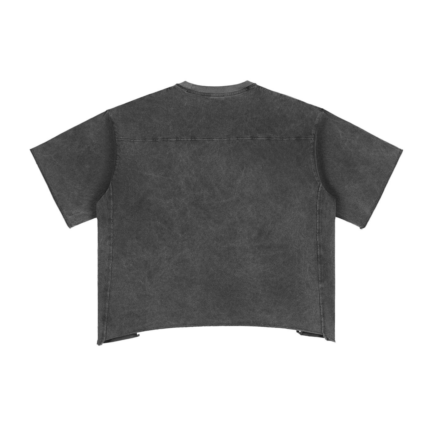 Blanks - Raw Edge Snow Washed Boxy T-Shirt
