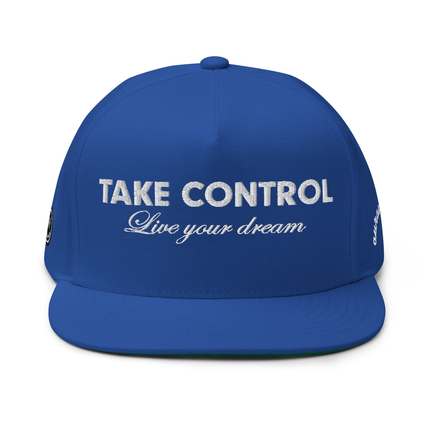 TAKE CONTROL CAP