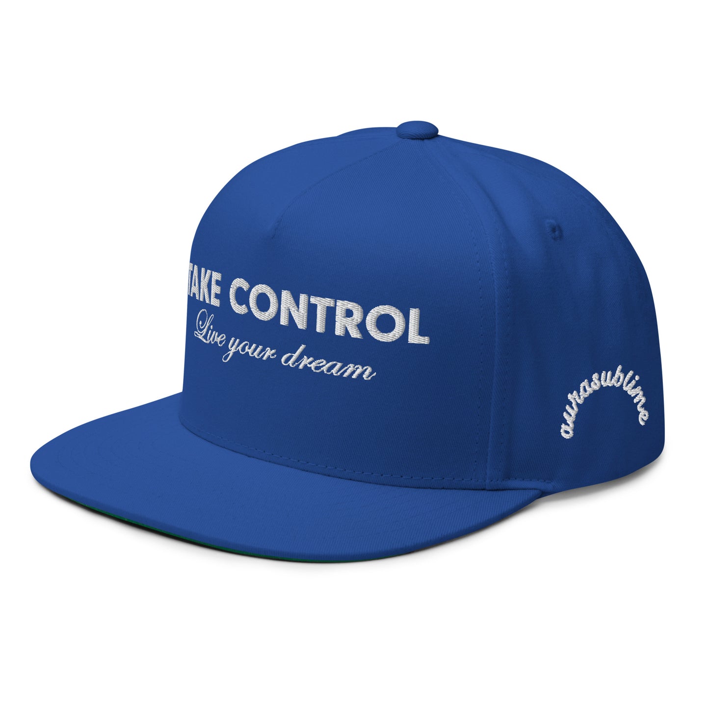 TAKE CONTROL CAP