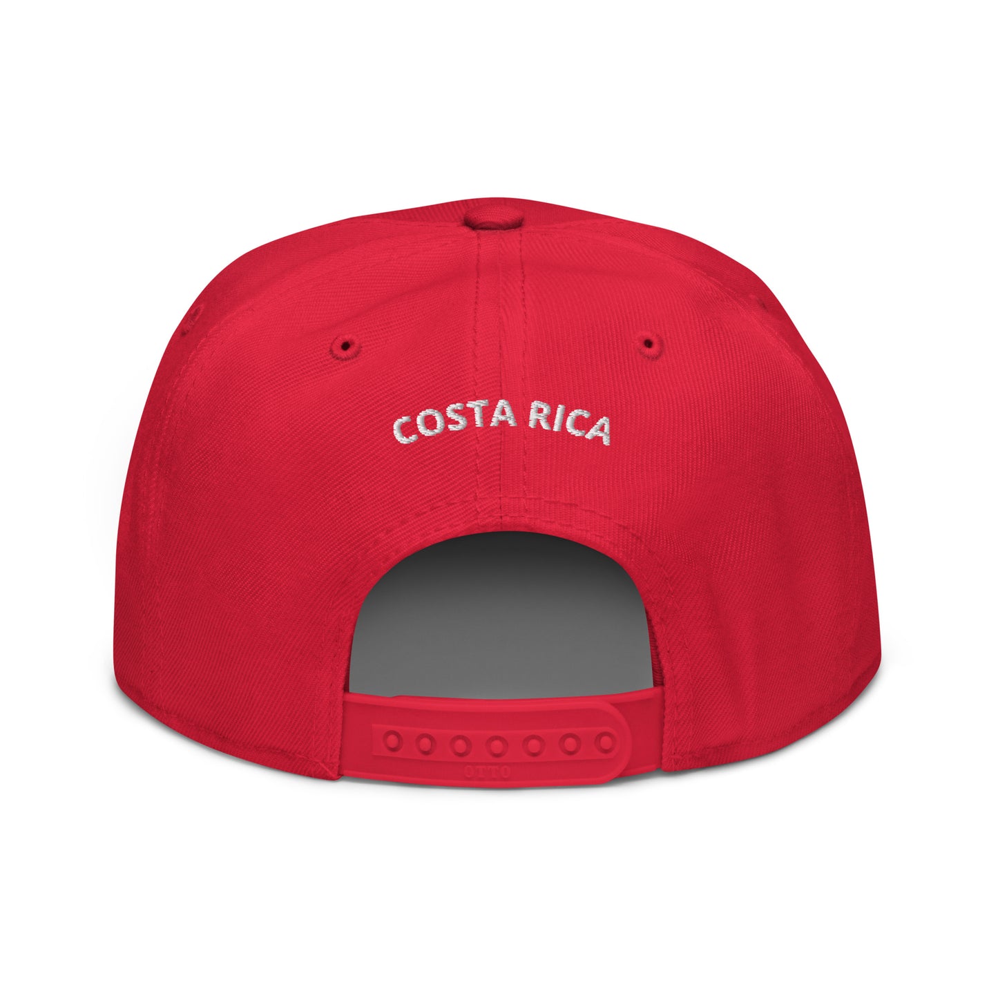 Snapback Hat - PUFF PURR PASS